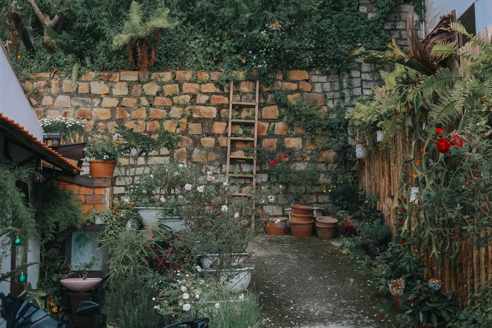 Coin de jardin aménagé avec un muret en pierre et des plantations