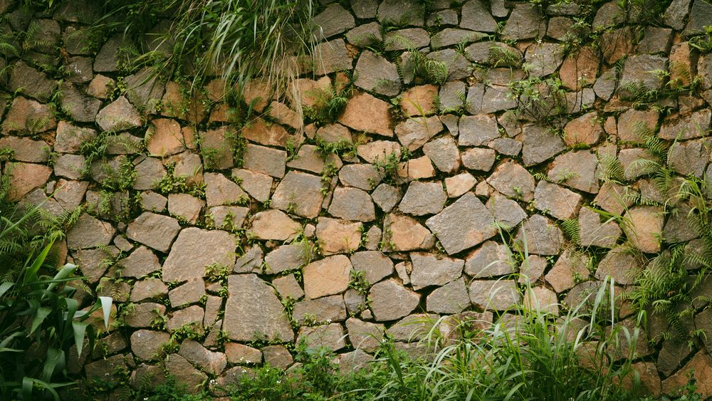 Mur en pierres sèches couvert de végétation
